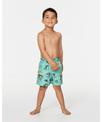 Rip Curl Paddle Out Volley-Boy in AQUA