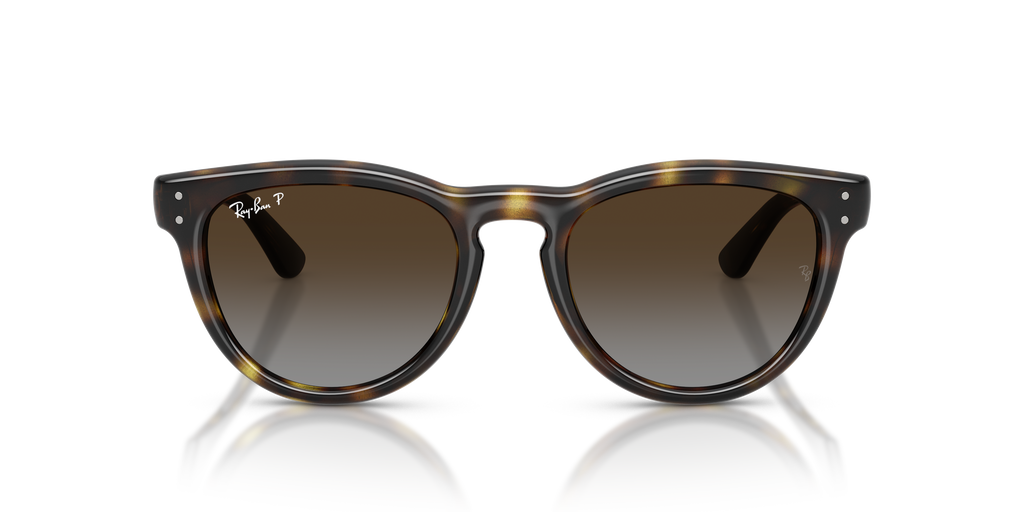 Ray-Ban® HAVANA POLAR LIGHT GREY GRADIE in Havana