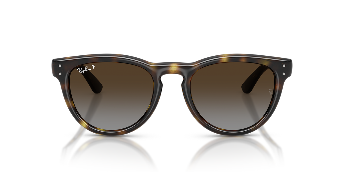 Ray-Ban® HAVANA POLAR LIGHT GREY GRADIE in Havana