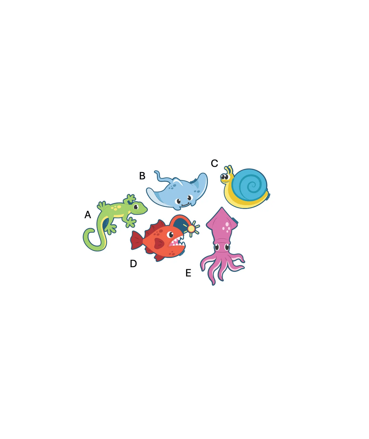 Crocs Tiny Cute Creatures 5 Pack in NO COLOR APPLICABLE