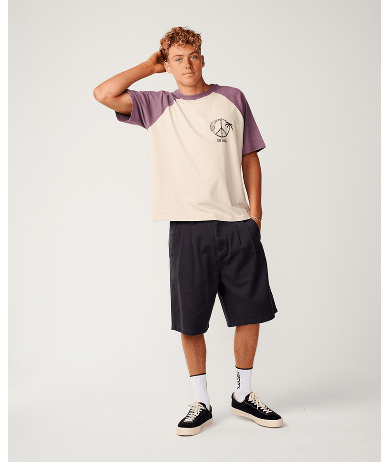 Rip Curl Disorder Dolphin Tee in VINTAGE WHITE