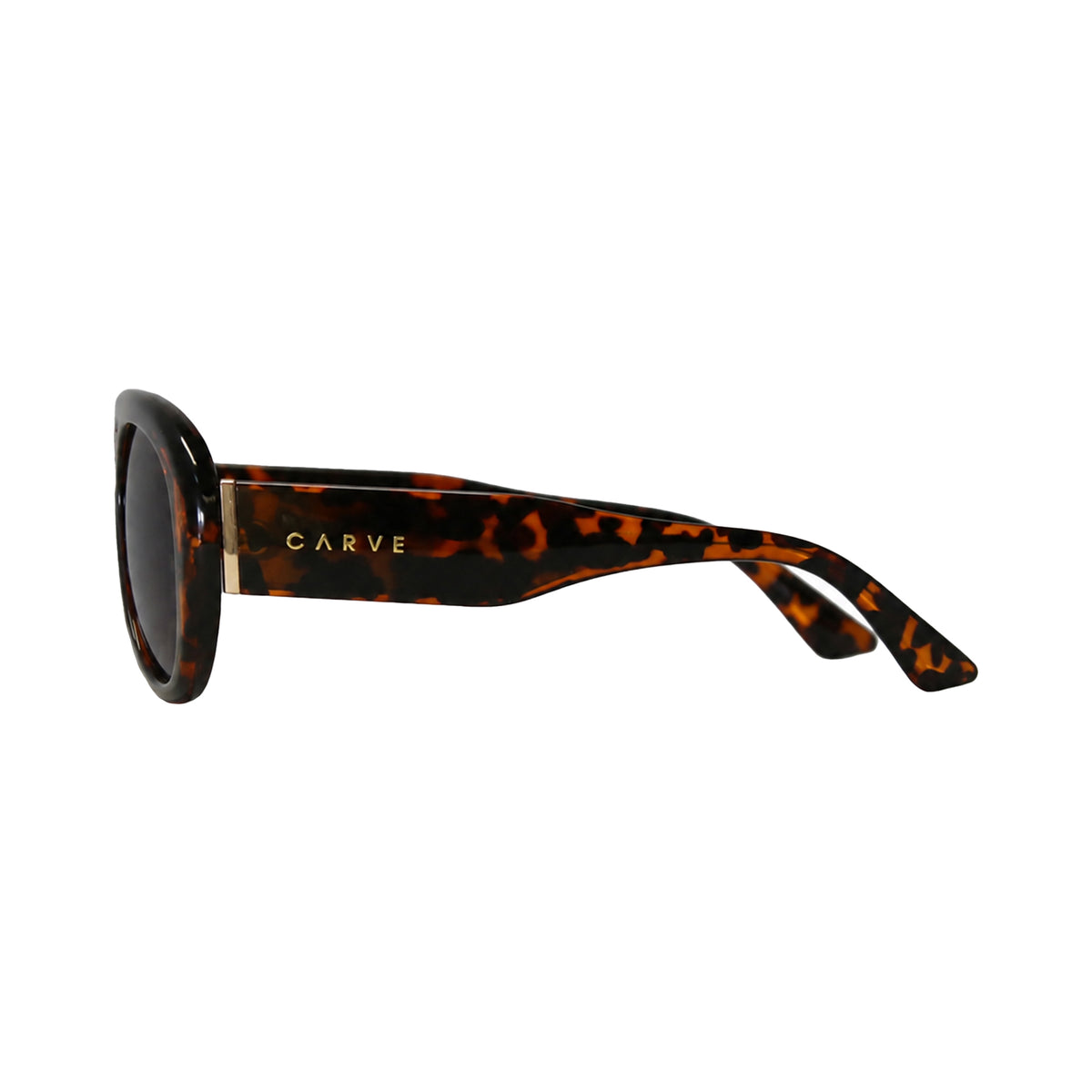 Carve PALOMA - GLOSS TORT FRAME WITH BROWN LENS in Single