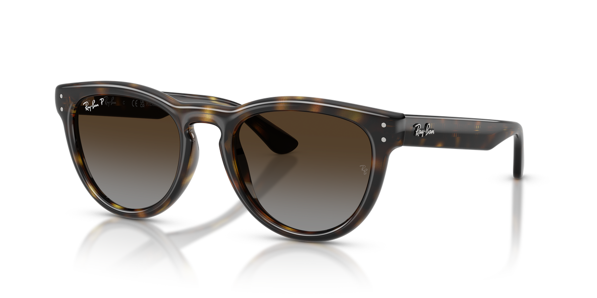 Ray-Ban® HAVANA POLAR LIGHT GREY GRADIE in Havana