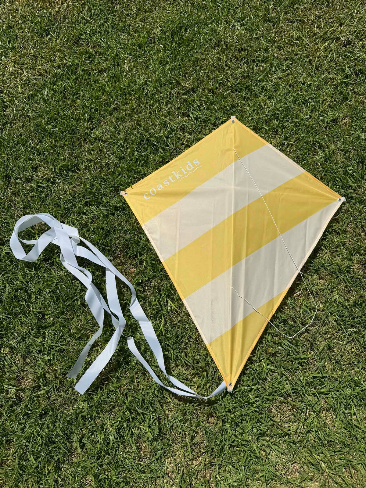 Coast Kids Traditional Kite - Kirra - Made from Recycled Plastic Bottle in Purple