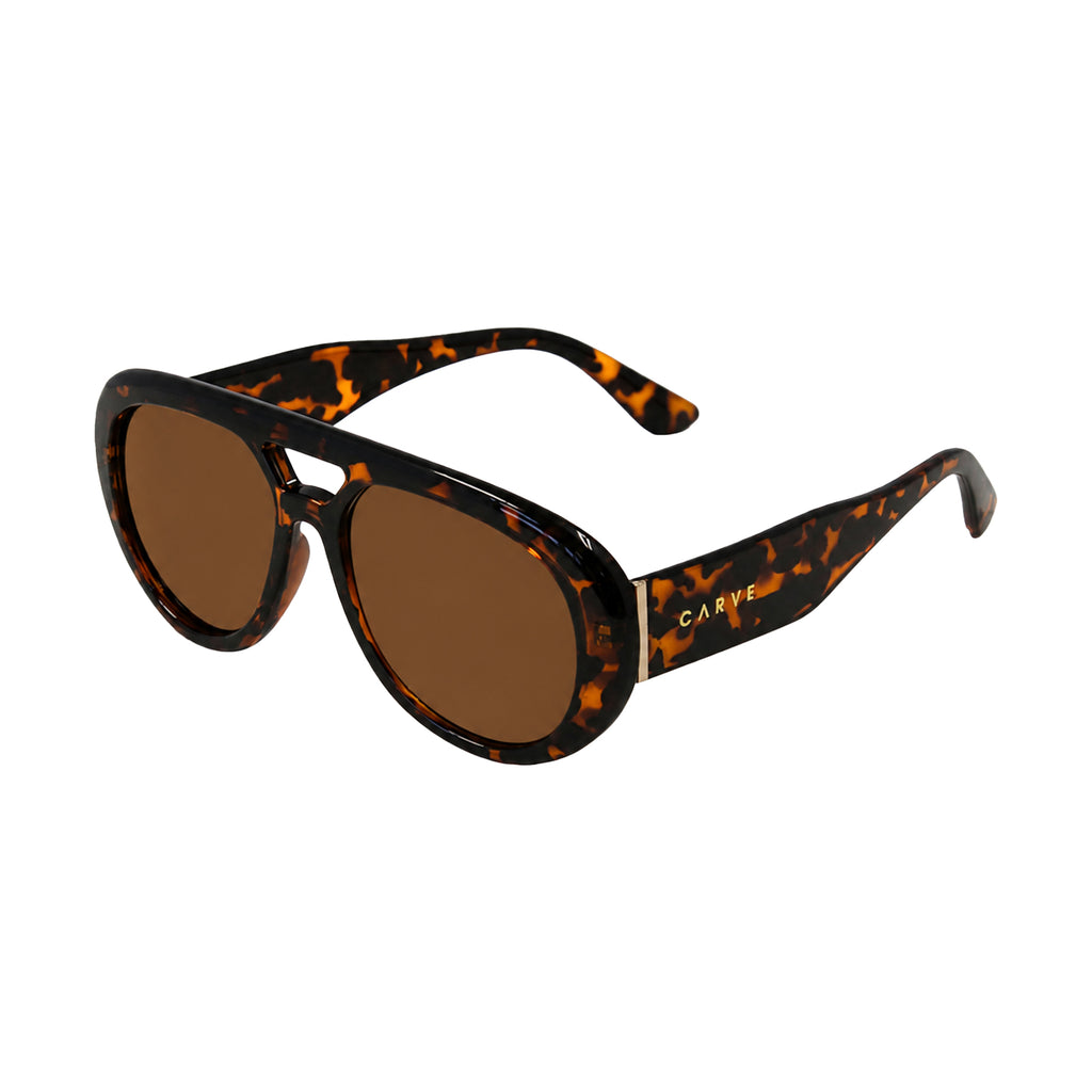 Carve PALOMA - GLOSS TORT FRAME WITH BROWN LENS in Single