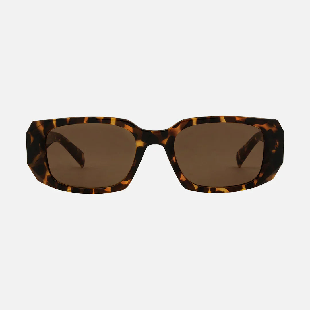 Carve Milan Gl Tort Brwn in NA