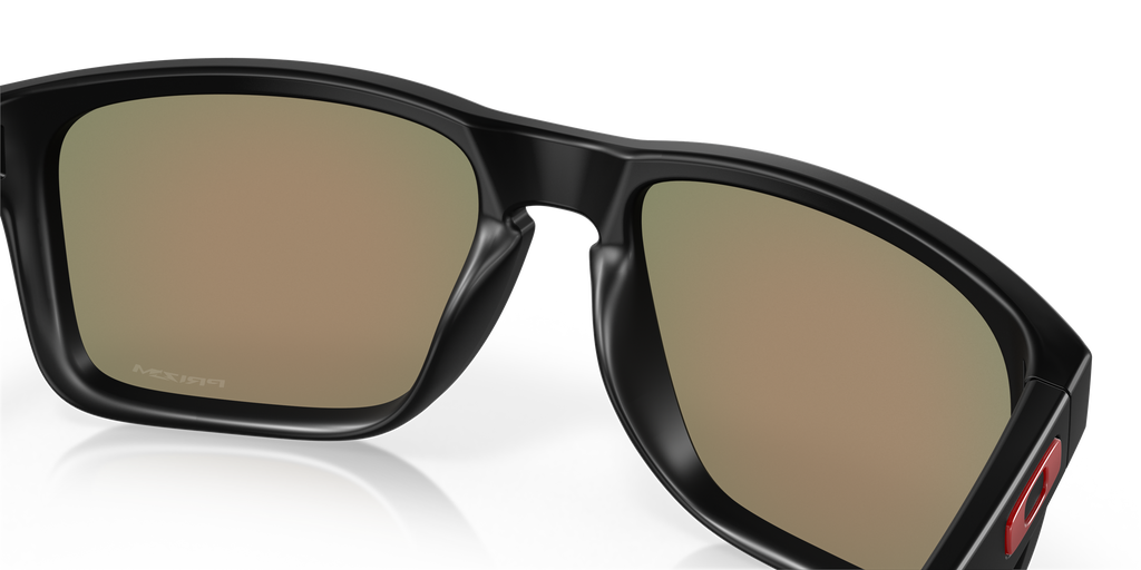 Oakley HOLBROOK XL MATTE BLACK PRIZM in Matte Black