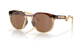 Oakley HSTN DARK AMBER/LIGHT CURRY PR in Dark Amber/Light Curry