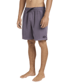 Billabong Mens All Day Overdye Layback 17" Boardshorts in Steel Purple