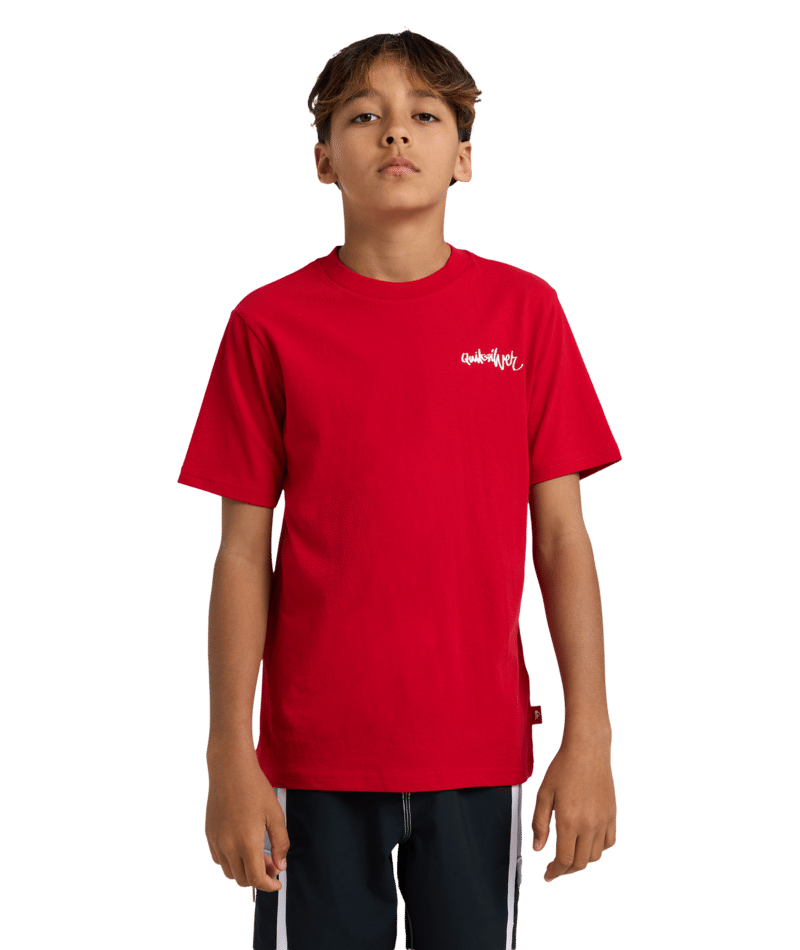 Quiksilver Yg Spray Ss Youth in SALSA