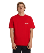 Quiksilver Yg Spray Ss Tee in SALSA