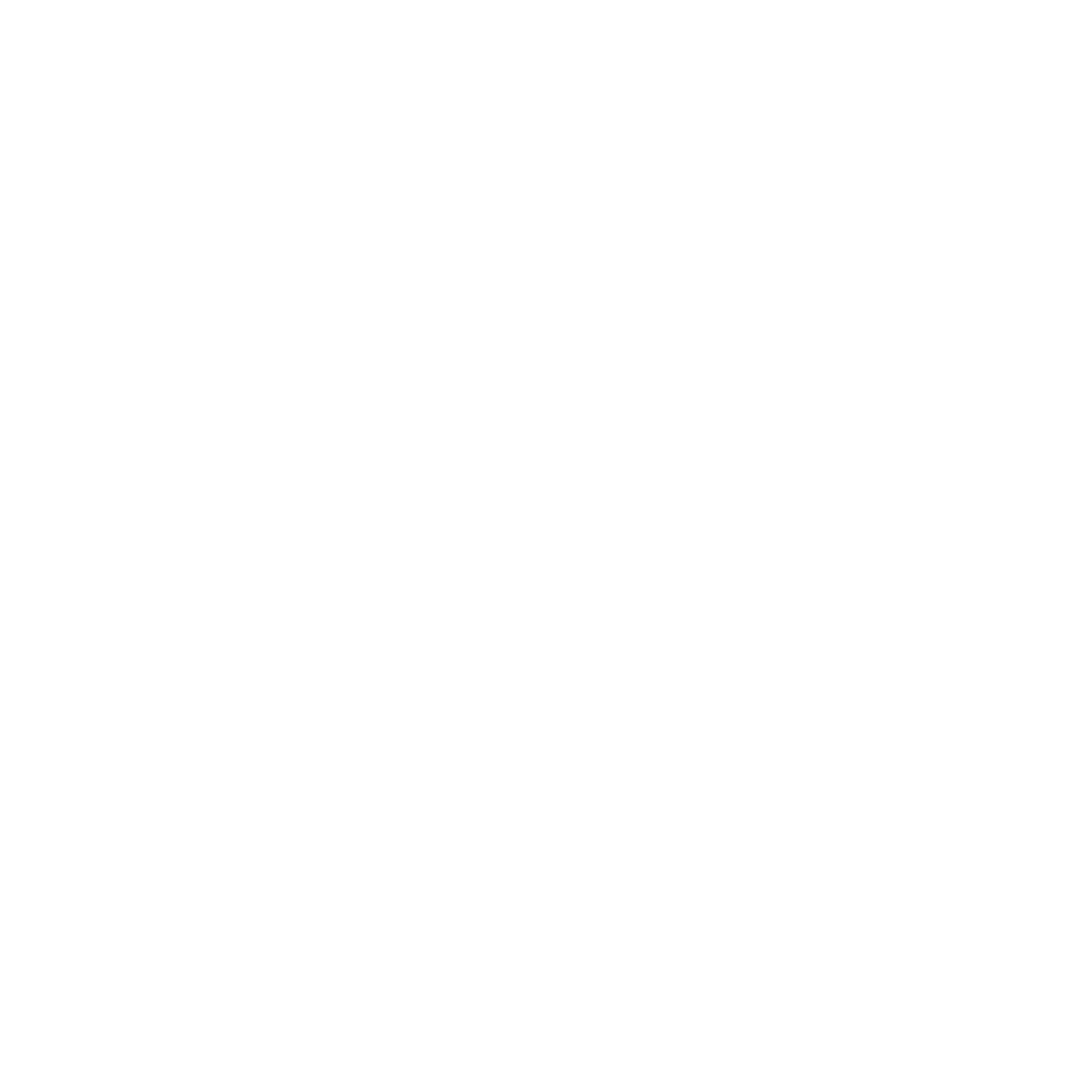 Le Specs LIAR LAIR VOLCANIC TORT in BROWN MONO