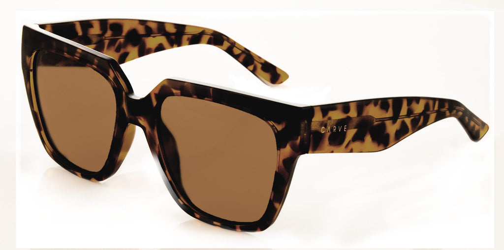 Carve Brooklyn - Gloss Tort Frame Brown Lens in Single