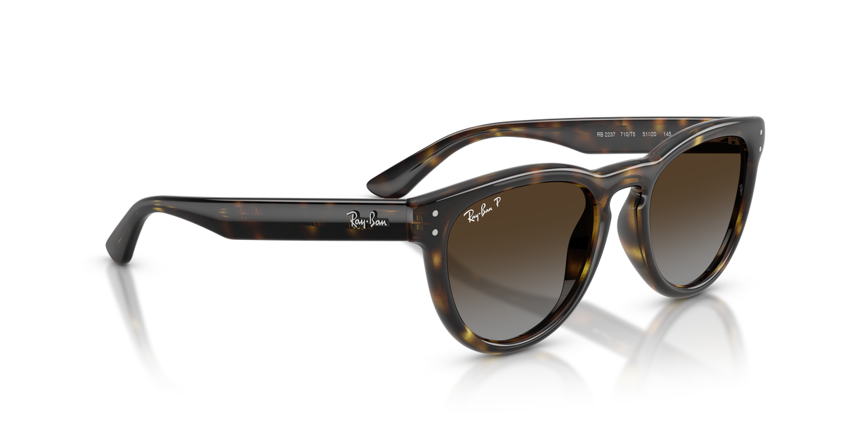 Ray-Ban® HAVANA POLAR LIGHT GREY GRADIE in Havana