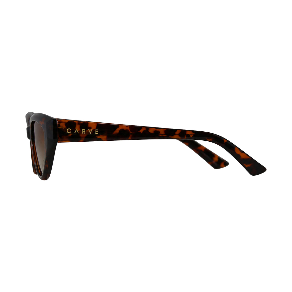 Carve COCO - GLOSS TORT FRAME WITH  BROWN LENS in Single