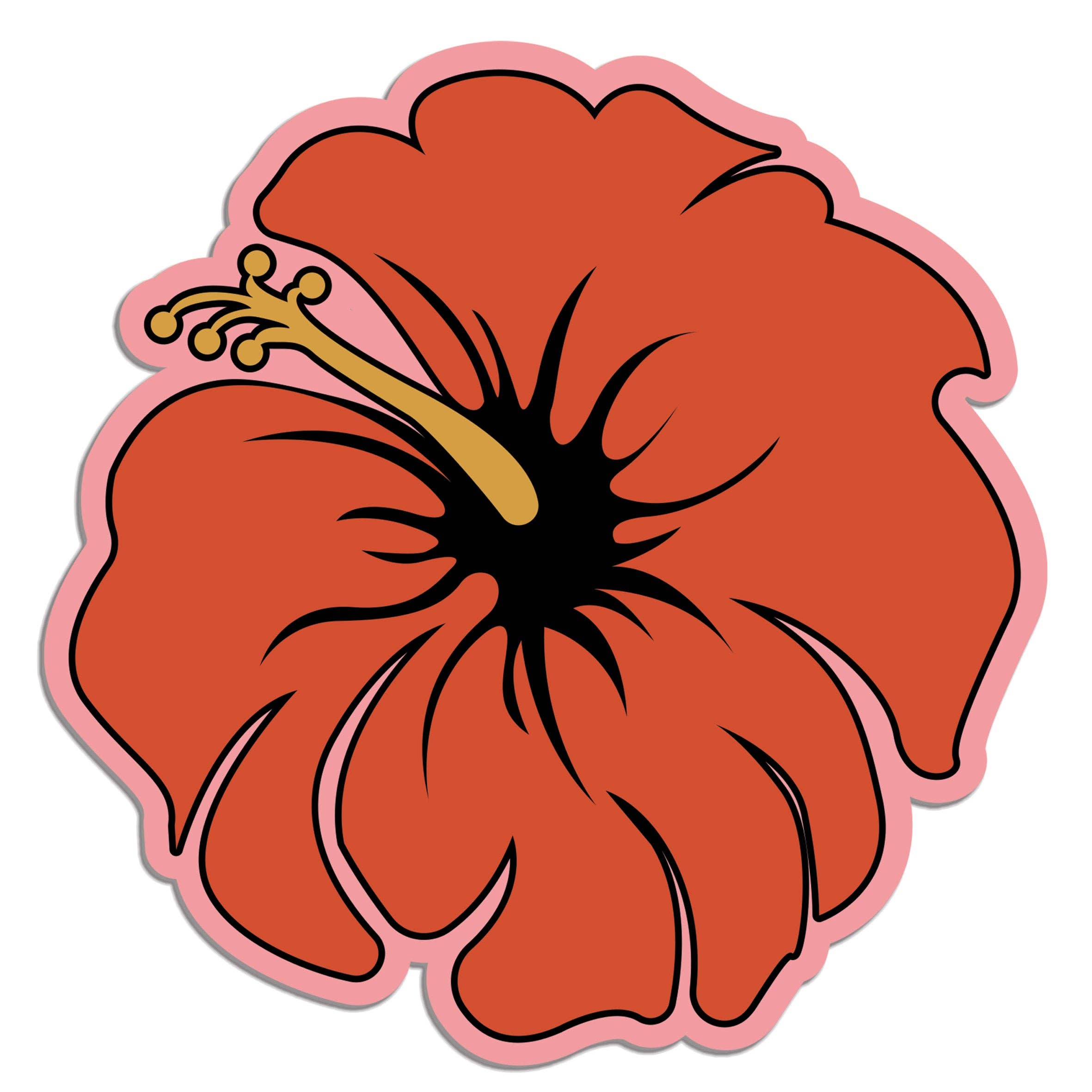 Hibiscus Pink