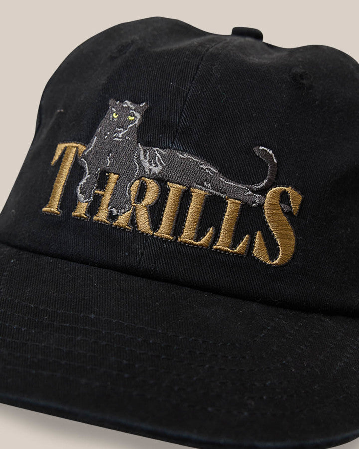 Thrills Pit Stop 6 Panel Cap - Black in Black
